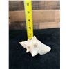 Image 8 : Small Queen Conch Shell 4" x 3" x 2"H