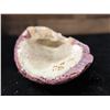 Image 5 : Weathered Spondylus Valve aka Spiny Oyster 8" x 5" x 4"H