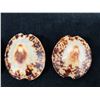 Image 3 : Qty 4 Polished Turtle Limpet Sea Shells, Misc Sizes
