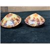 Image 5 : Qty 4 Polished Turtle Limpet Sea Shells, Misc Sizes
