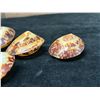 Image 7 : Qty 4 Polished Turtle Limpet Sea Shells, Misc Sizes
