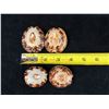 Image 9 : Qty 4 Polished Turtle Limpet Sea Shells, Misc Sizes