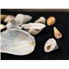 Image 14 : Multiple Small Sea Shells, Misc Types & Sizes