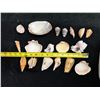 Image 17 : Multiple Small Sea Shells, Misc Types & Sizes