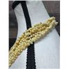 Image 5 : Mongo Yellow Shell 5-Strand Lei 32"L