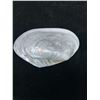 Image 2 : Large Mother of Pearl Abalone Shell 8" x 4.5"