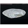 Image 3 : Large Mother of Pearl Abalone Shell 8" x 4.5"