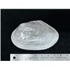 Image 5 : Large Mother of Pearl Abalone Shell 8" x 4.5"