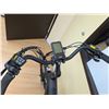 Image 4 : VÉLO ÉLECTRIQUE DCO LIBERT-E, 9 VITESSES, NOIR, ASSEMBLÉ