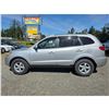 Image 15 : DUNCAN - 2007 HYUNDAI SANTA FE SILVER  243506 KMS - D009046