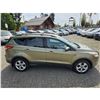 Image 8 : DUNCAN - 2013 FORD ESCAPE GREEN 196365 KMS - JB73023