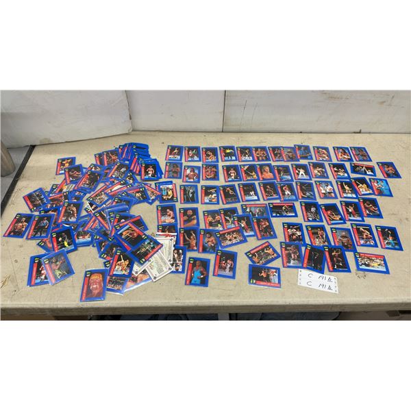 1991 Classic WWF Wrestling Trading Cards Collection