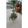Image 2 : Artificial Ficus Tree with Ivy in Decorative Brown Planter 7' Tall