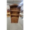Image 1 : Rustic Pine Bookcase with Arched Crown and Lower Cabinet Doors 74 x 33 x 12"
