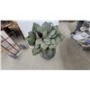 Image 3 : Rustic Distressed Blue and Brown Two-Handled Urn with Artificial Succulent28" Tall