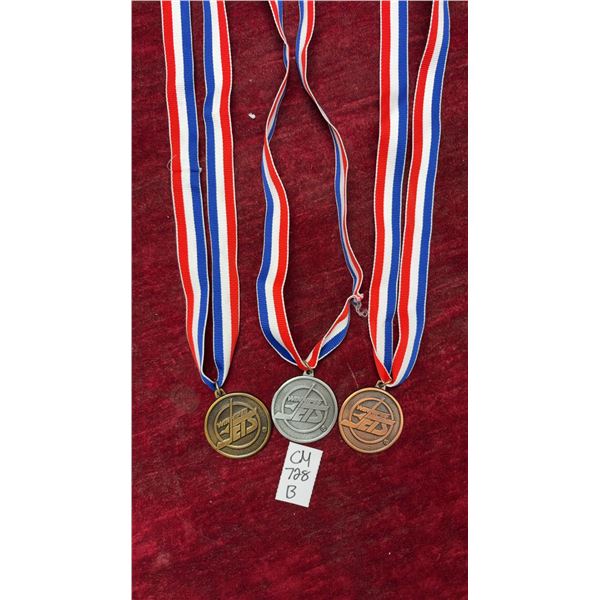 Vintage Winnipeg Jets Medal Collection