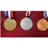 Image 3 : Vintage Winnipeg Jets Medal Collection