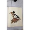 Image 4 : Paintings By J. F. Landsdowne Birds of the Northern Forest. 56 Beautiful Colored Plates Great For