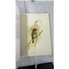 Image 6 : Paintings By J. F. Landsdowne Birds of the Northern Forest. 56 Beautiful Colored Plates Great For