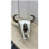 Image 2 : Buffalo Skull with Natural Curved Horns, Approximately 26 x 22"