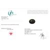 Image 3 : 15 Ct Certified Brazilian Emerald Gemstone ($13,800 Appraisal)