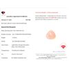 Image 3 : 15.85 Ct Certified Pink Morganite Gemstone ($11,887 Appraisal)