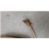 Image 2 : Ccableoated Cable 43' Six Gauge Awg
