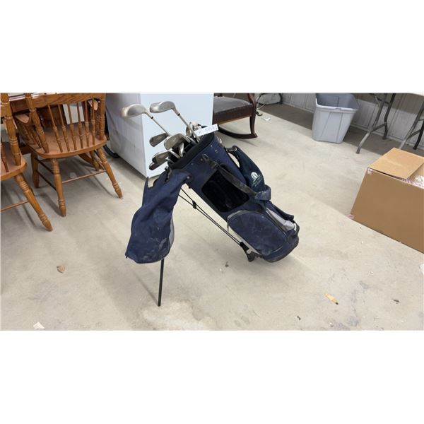 Fairway Xtreme Force Iron Set with Control Woods and Franklin Templeton Stand Bag