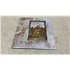 Image 4 : 5 LED Zeppelin LP Vinyl Records