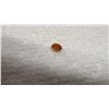 Image 8 : Loose Yellow Sapphire, Orange Spessartite Garnet, Ethiopian Opal Gemstones