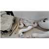 Image 4 : Plastic Full-Body Snow Goose Decoys with Canvas Carry Bag and Spare Heads and More