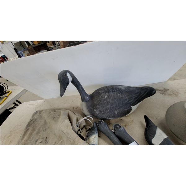 Canada Goose Full-Body Hunting Decoy with Assorted Replacement Head 5x