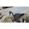 Image 1 : Canada Goose Full-Body Hunting Decoy with Assorted Replacement Head 5x