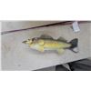 Image 3 : Pink Zebco Spincast Rod and Reel Combo and Walleye Fish Boat Bumper