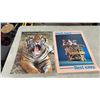Image 3 : Vintage Garfield and Chimpanzee Motivational Classroom Posters by Jim Davis and More