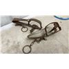 Image 3 : Lot of 8 Vintage Steel Foothold Animal Traps with Chains