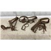 Image 5 : Lot of 8 Vintage Steel Foothold Animal Traps with Chains