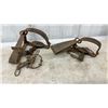 Image 2 : Antique Newhouse-Style Double Long Spring Steel Jaw Leg-Hold Traps