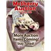 Image 1 : More Items Coming Soon!