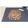 Image 1 : Bulk Lot of Canadian Pennies, United States Lincoln Cents, and More