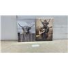 Image 1 : Set of Two Highland Cow Canvas Wall Art Prints on Wooden Stretcher Frames, 16 x 12"