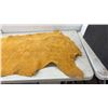 Image 4 : Yellowish-Tan Suede Leather Deer Half Hide, Approximately 24 x 61"