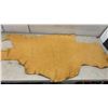 Image 3 : Two Pieces of Golden-Tan Buckskin Leather Deer Hides, Approximately 23 x 43" & 26 x 50"