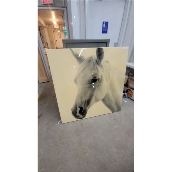 Glossy Acrylic Horse Head Monochrome Art Print on Panel 47 x 47"
