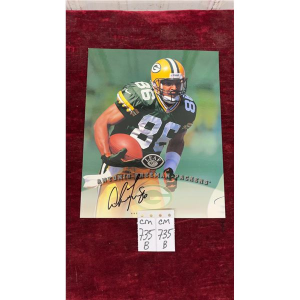Signed Antonio Freeman Green Bay Packers 8 x 10