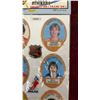 Image 3 : Vintage Wayne Gretzky Puffy Sticker New In Package