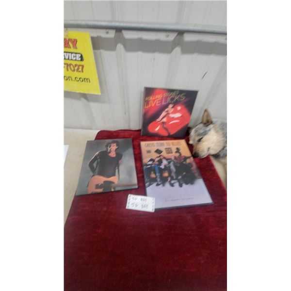 Rolling Stones Live Licks Album Art, Keith Richards Photo, and Greys Turn to Blues Prints