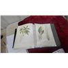 Image 6 : Staples Black Three-Ring Binder with Collection of Natural History Bird and Botanical Prints
