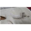 Image 2 : Collection of Decorative Figurines, Shed Antler Fragment, Carved Fish, and More