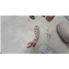 Image 3 : Collection of Decorative Figurines, Shed Antler Fragment, Carved Fish, and More